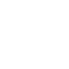 Monitoring Information System